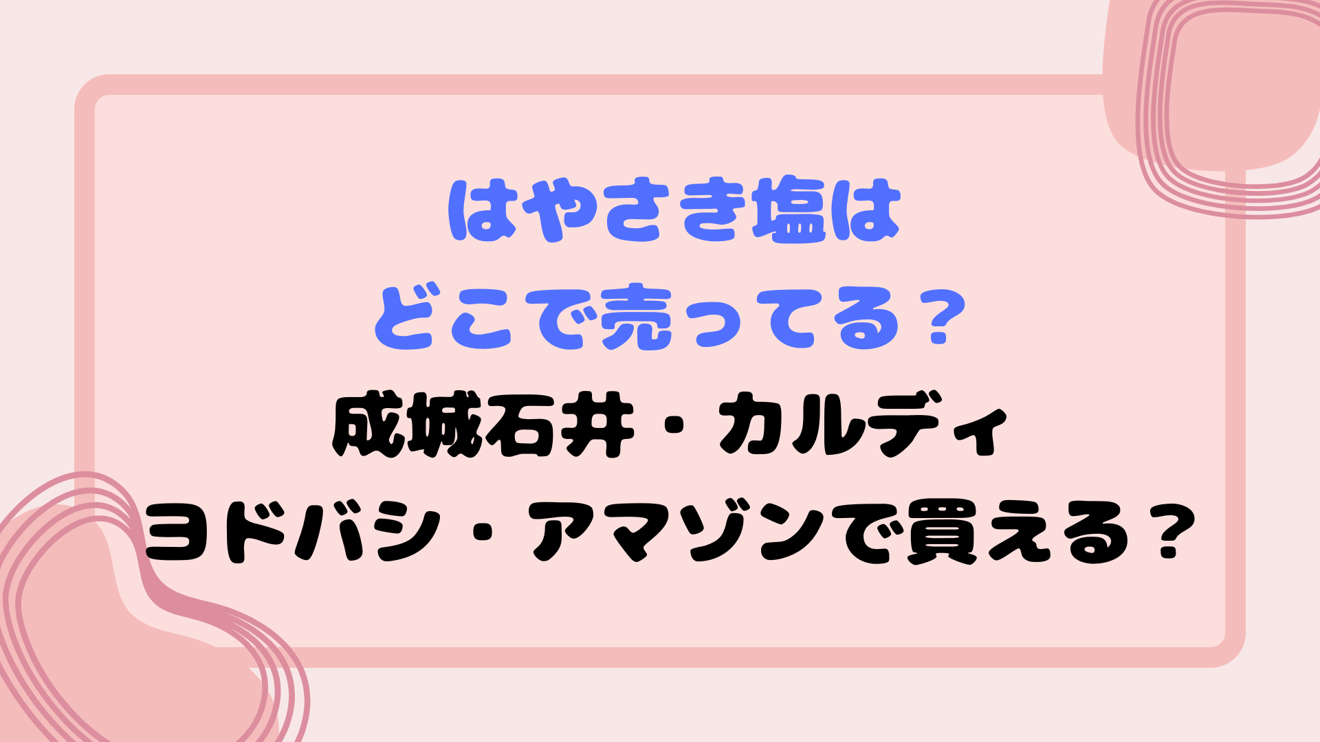 はやさき塩はどこで売ってる？成城石井・カルディ・ヨドバシ・アマゾンで買える？